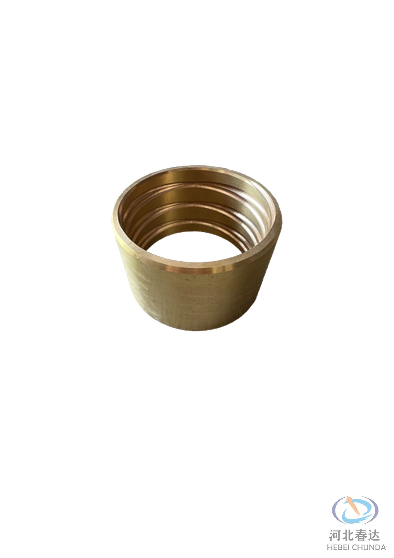 Bearing Bush · 10018037 — Hebei Chunda replacement part.