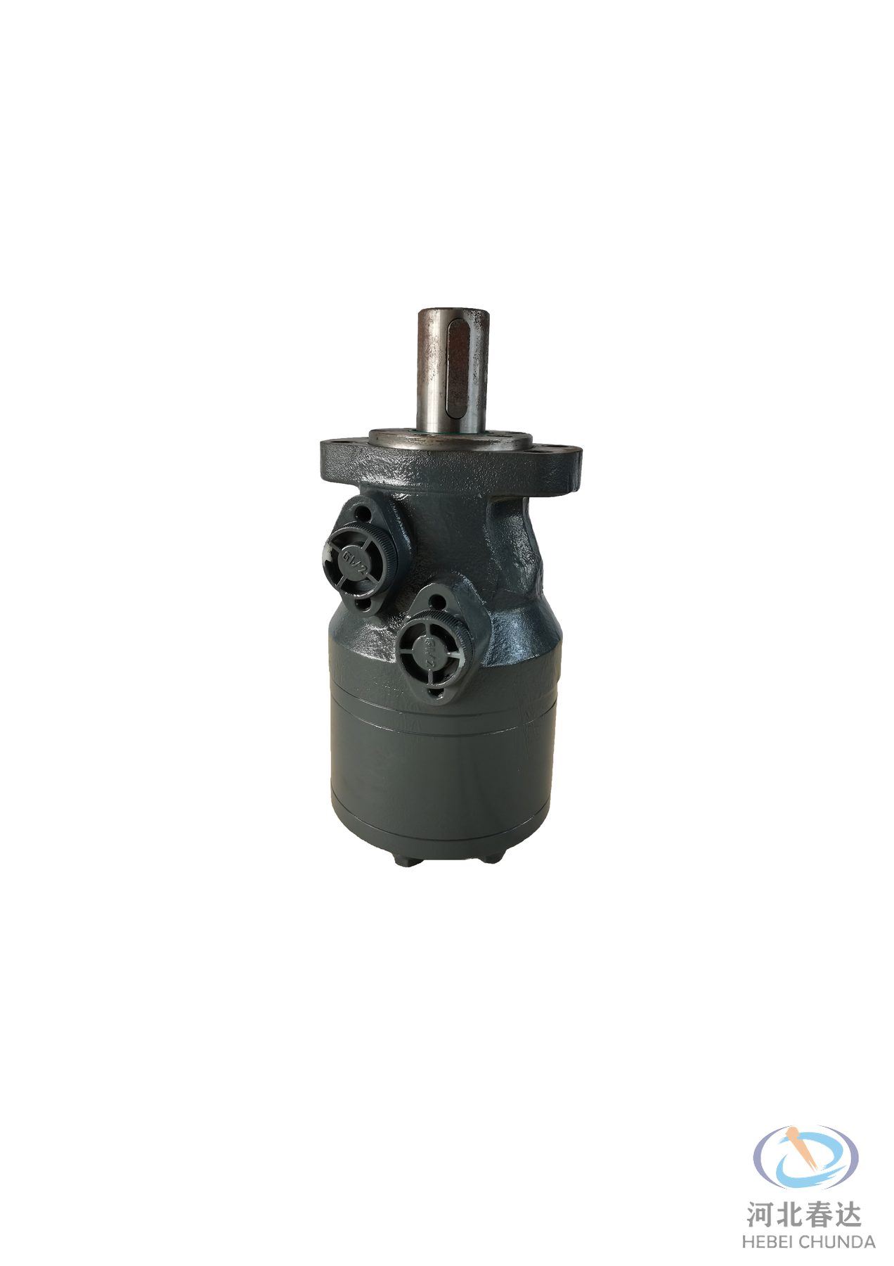 Hydraulic Motor · 10039180 — Hebei Chunda replacement part.