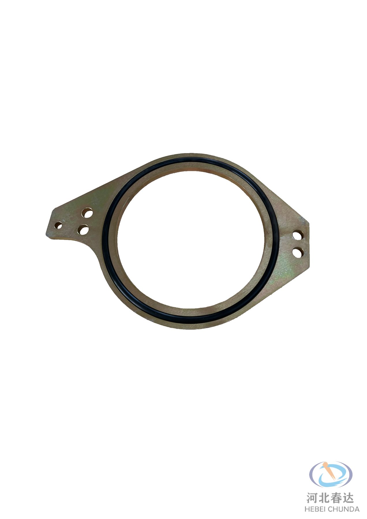 Sealing Ring · 10035783 — Hebei Chunda replacement part.